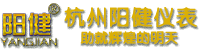 杭州陽(yáng)健儀表公司